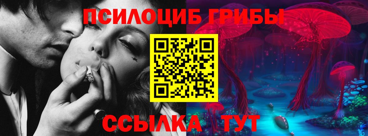 наркотики  Вход с VPN  Смоленск  Псилоцибиновые грибы Psilocybe 